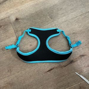 blue & black harness!